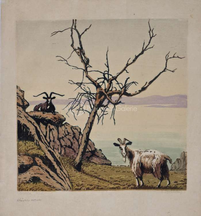 Paul Leschhorn - Chèvres corses