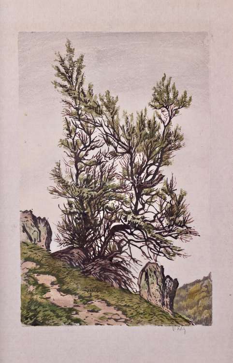 Paul Leschhorn - L arbre